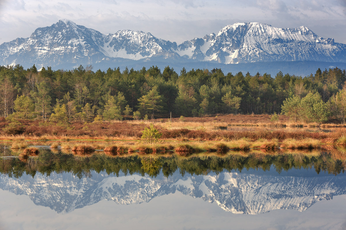 Schönramer Moor 1 Landscapes, wildlife and more